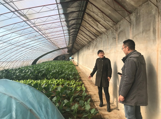 正谷（北京）农业发展有限公司示范基地